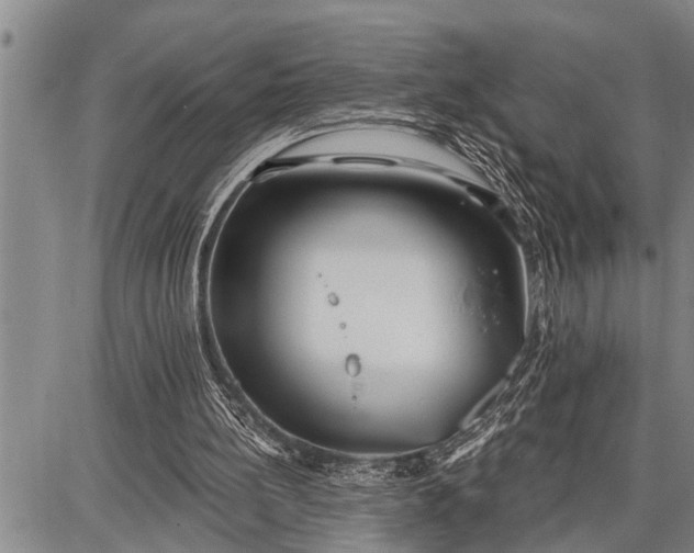 X0000087680148200705181738