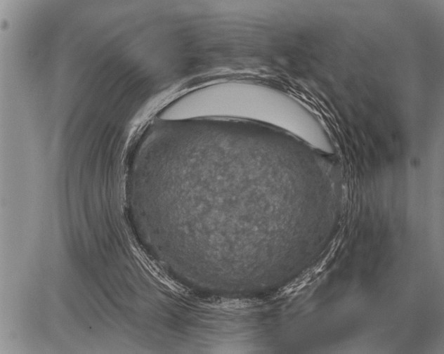 X0000087680149200705181738