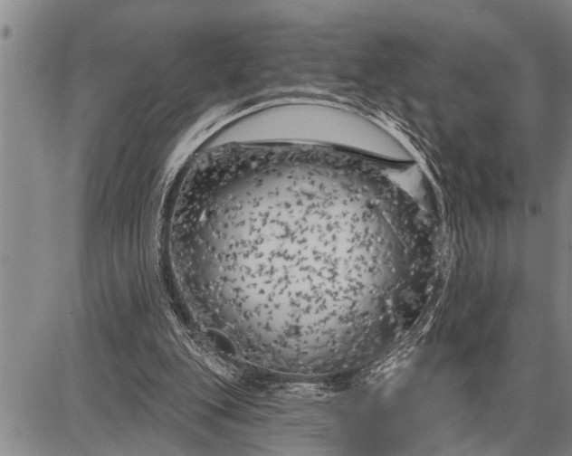 X0000087680151200705181738