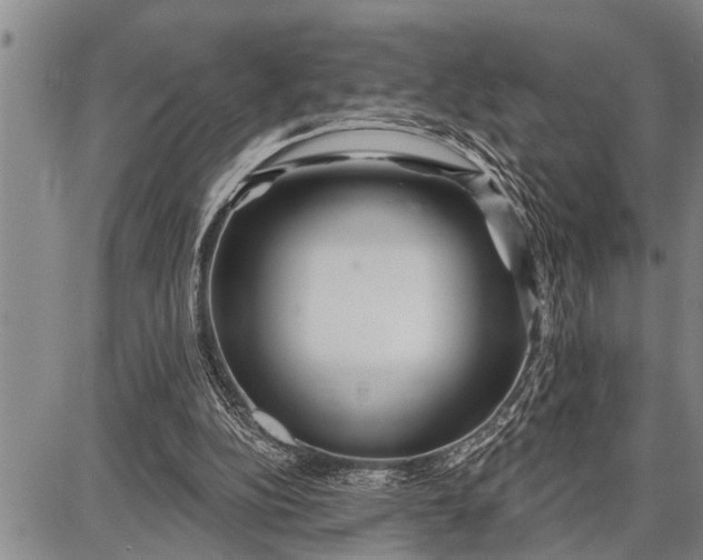 X0000087680152200705181738