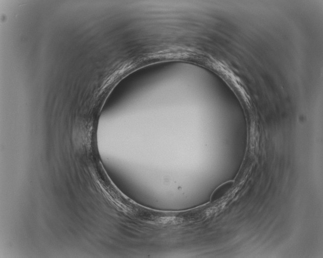 X0000087680153200705181738