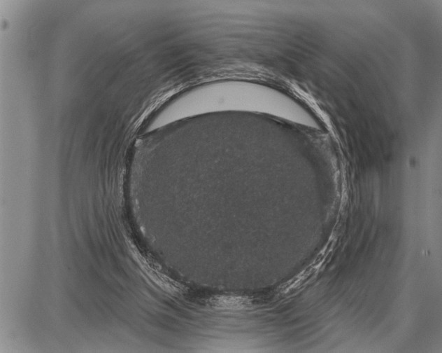 X0000087680154200705181738