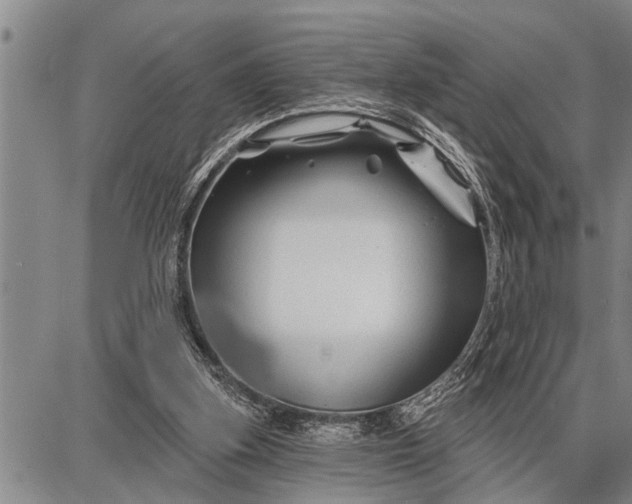 X0000087680155200705181738