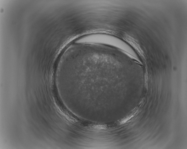 X0000087680156200705181738