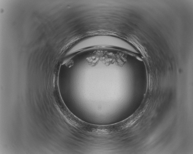 X0000087680157200705181738