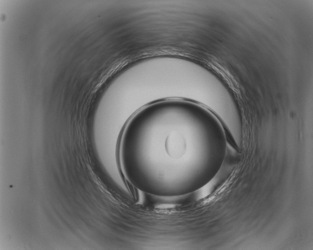 X0000087680158200705181738