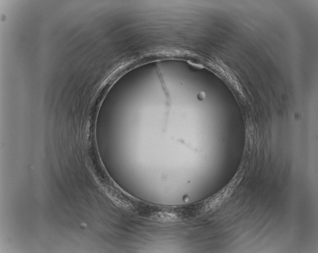 X0000087680159200705181738