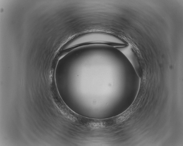 X0000087680160200705181738