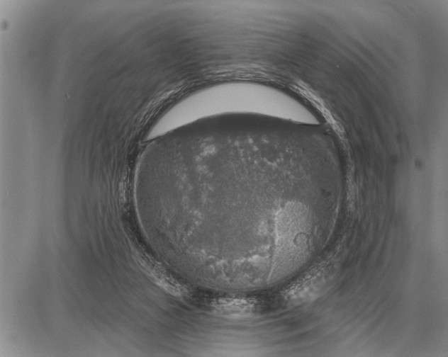 X0000087680161200705181738