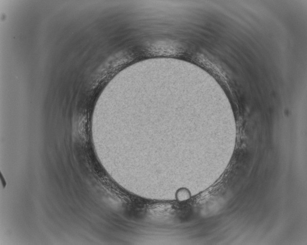 X0000087680162200705181738