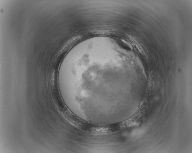 X0000087680163200705181738