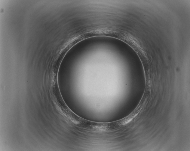 X0000087680164200705181738