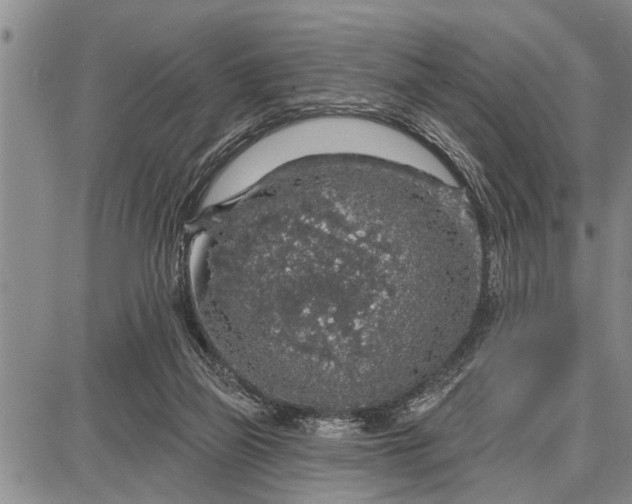 X0000087680165200705181738