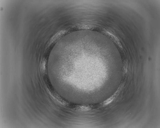 X0000087680166200705181738