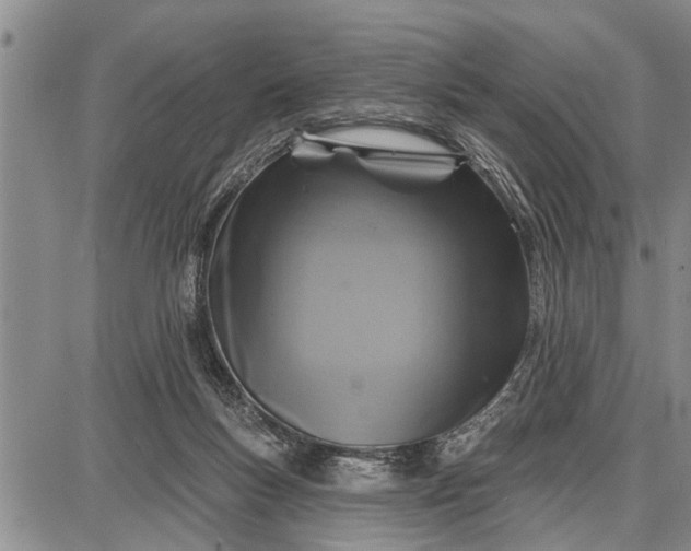 X0000087680167200705181738