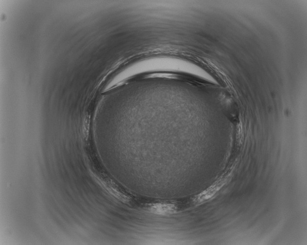 X0000087680168200705181738