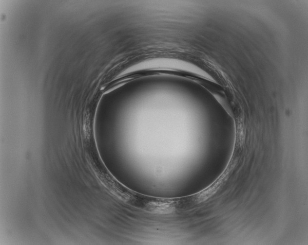 X0000087680170200705181738