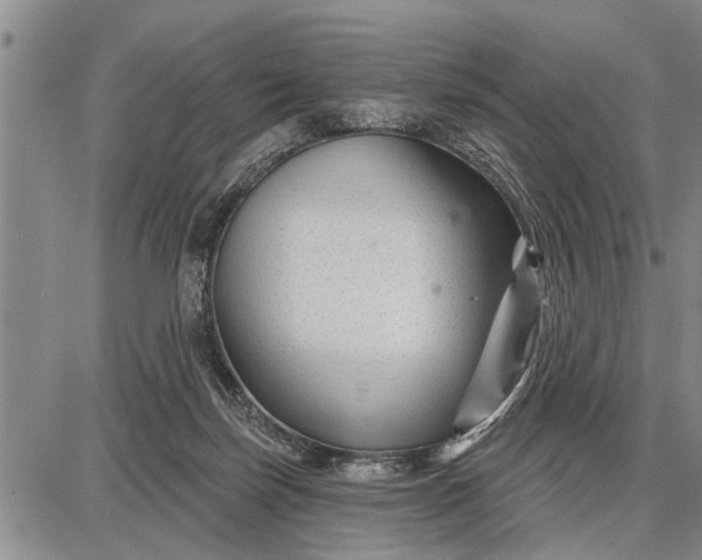 X0000087680171200705181738