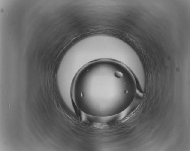 X0000087680172200705181738