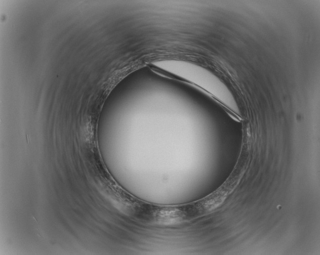 X0000087680173200705181738