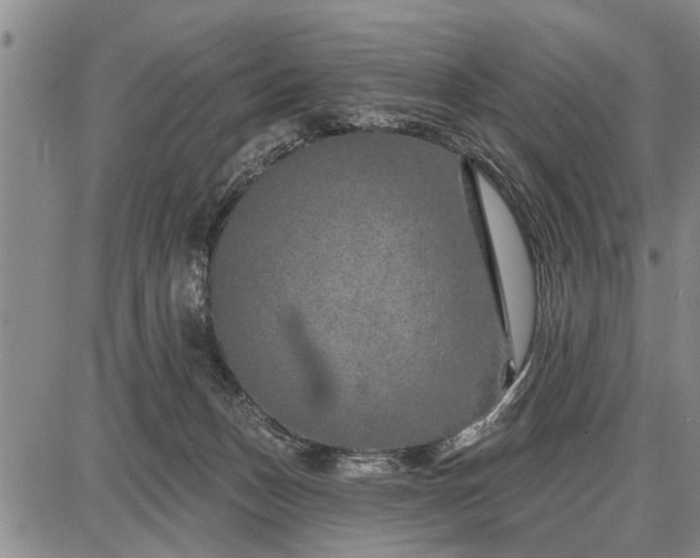 X0000087680175200705181739