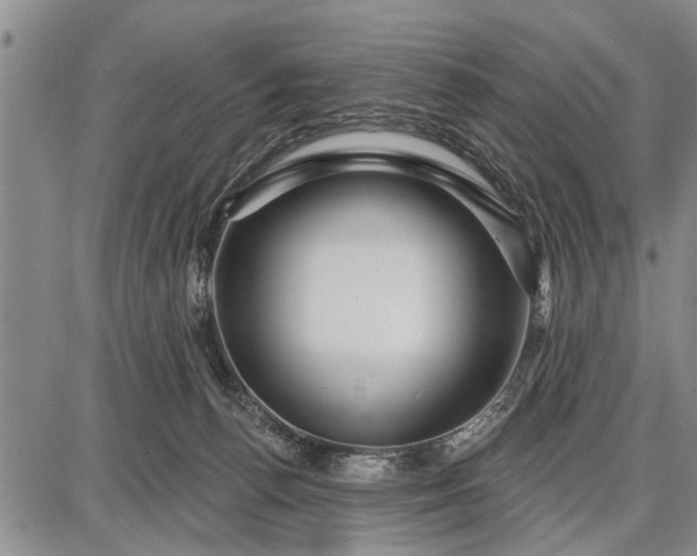 X0000087680176200705181739