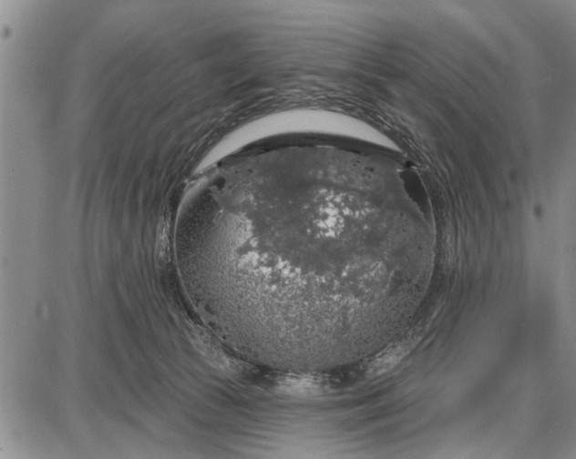 X0000087680177200705181739