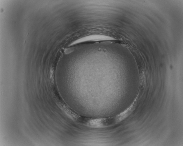 X0000087680178200705181739