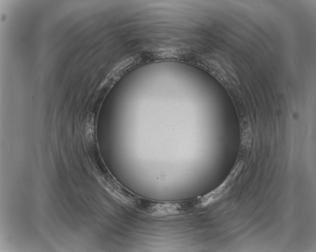 X0000087680179200705181739