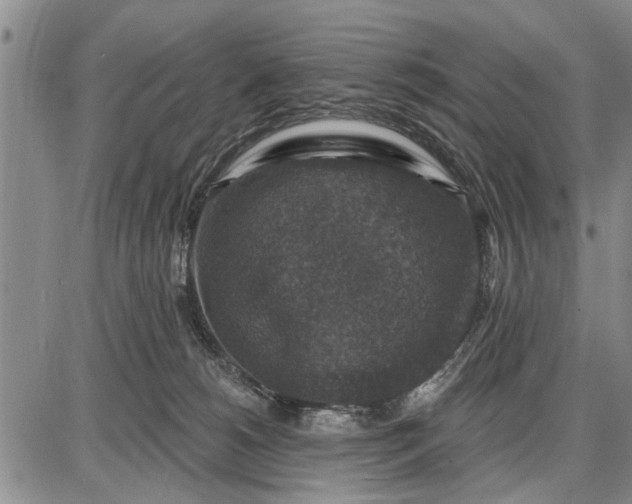 X0000087680180200705181739