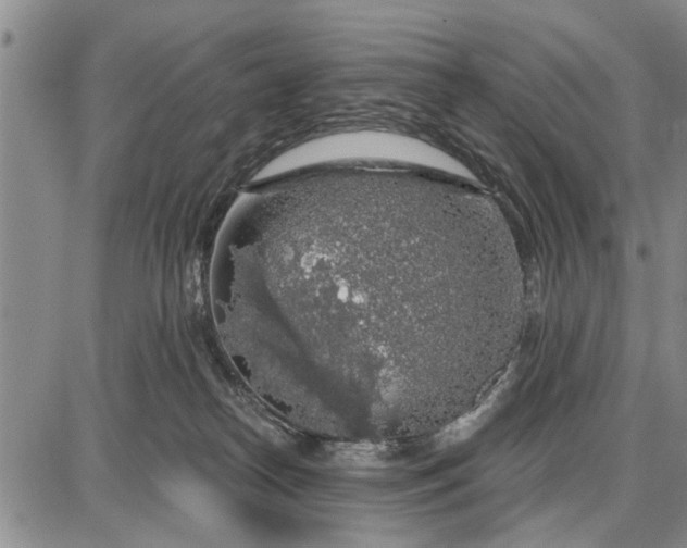 X0000087680182200705181739