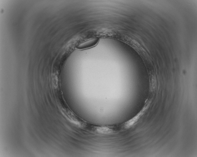 X0000087680183200705181739