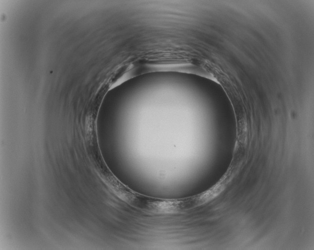 X0000087680184200705181739