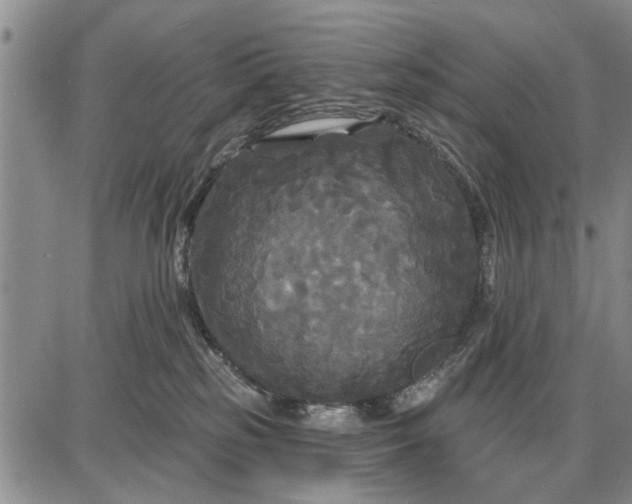 X0000087680185200705181739