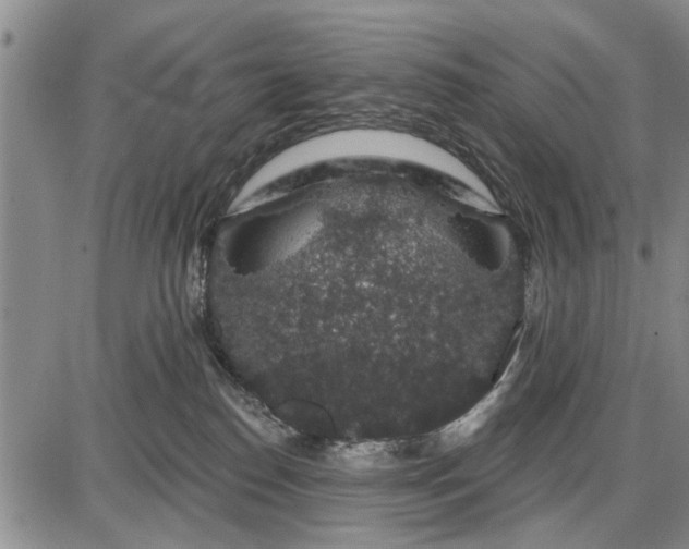 X0000087680186200705181739