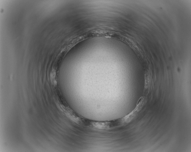 X0000087680187200705181739