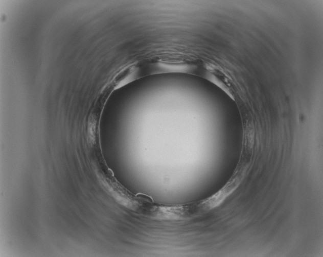 X0000087680188200705181739