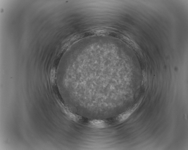 X0000087680189200705181739