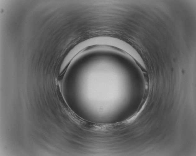 X0000087680190200705181739