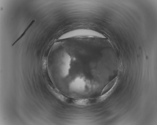 X0000087680191200705181739