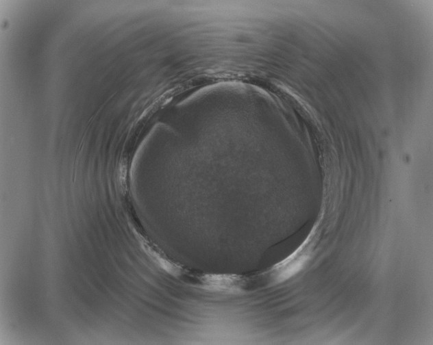 X0000087680192200705181739