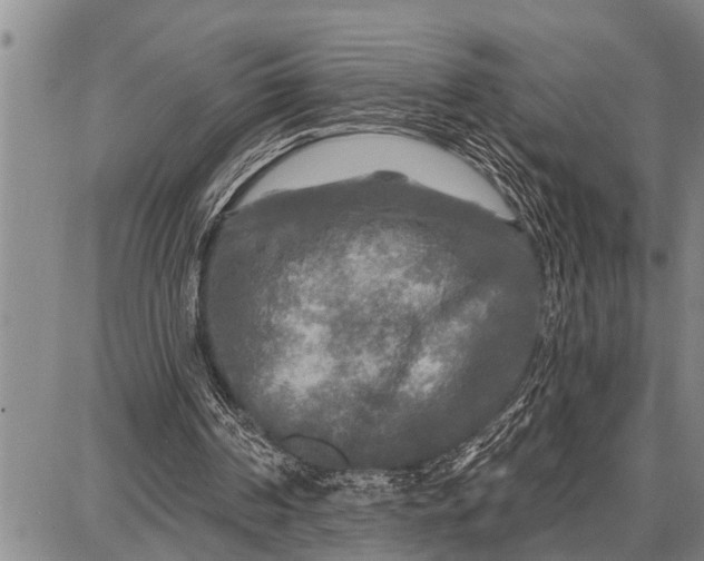 X0000087680194200705181738