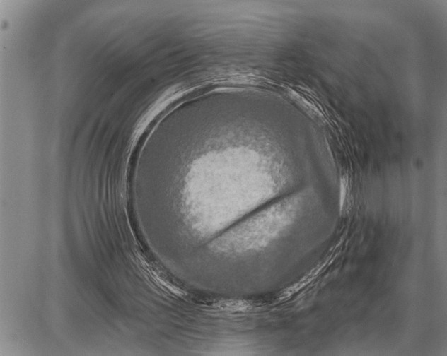 X0000087680195200705181738