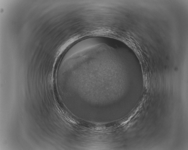 X0000087680196200705181738