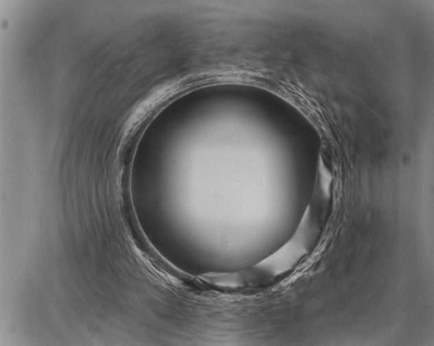 X0000087680197200705181738