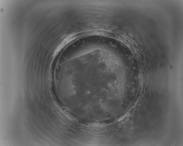 X0000087680198200705181738