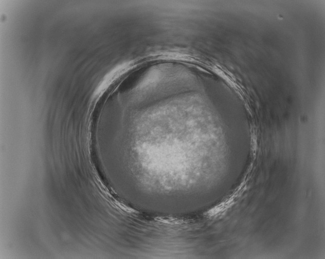 X0000087680199200705181738