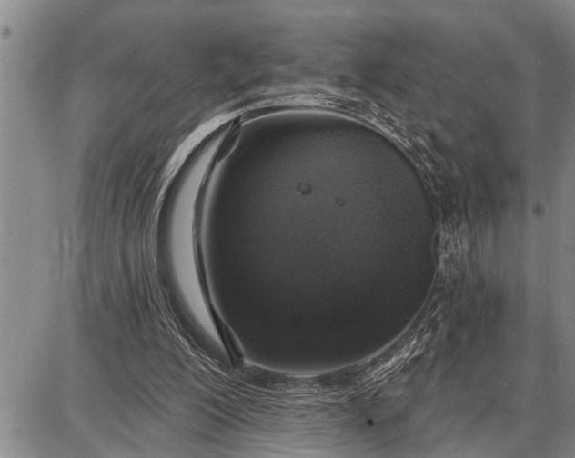 X0000087680200200705181738