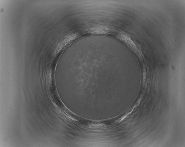 X0000087680202200705181738