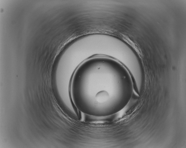 X0000087680203200705181738